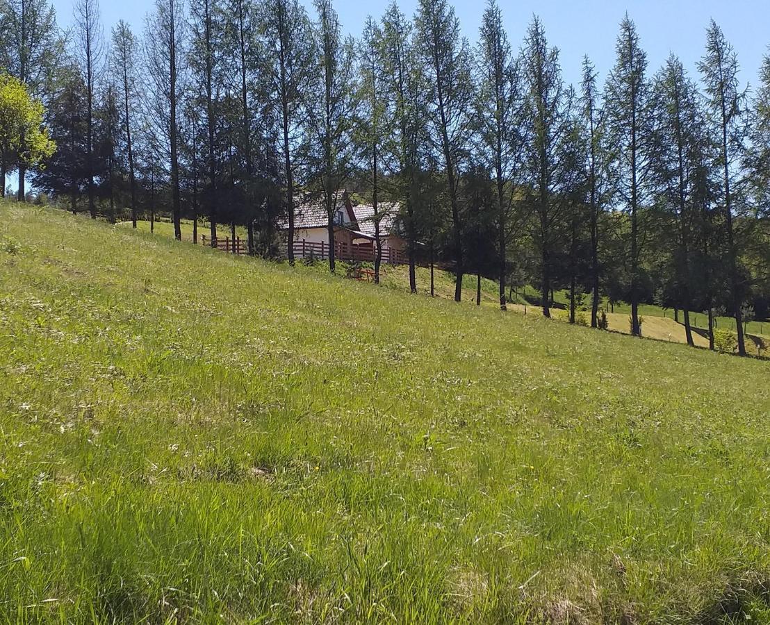 Bieszczadzki Bohater 533-502-137 Holiday home Polanczyk