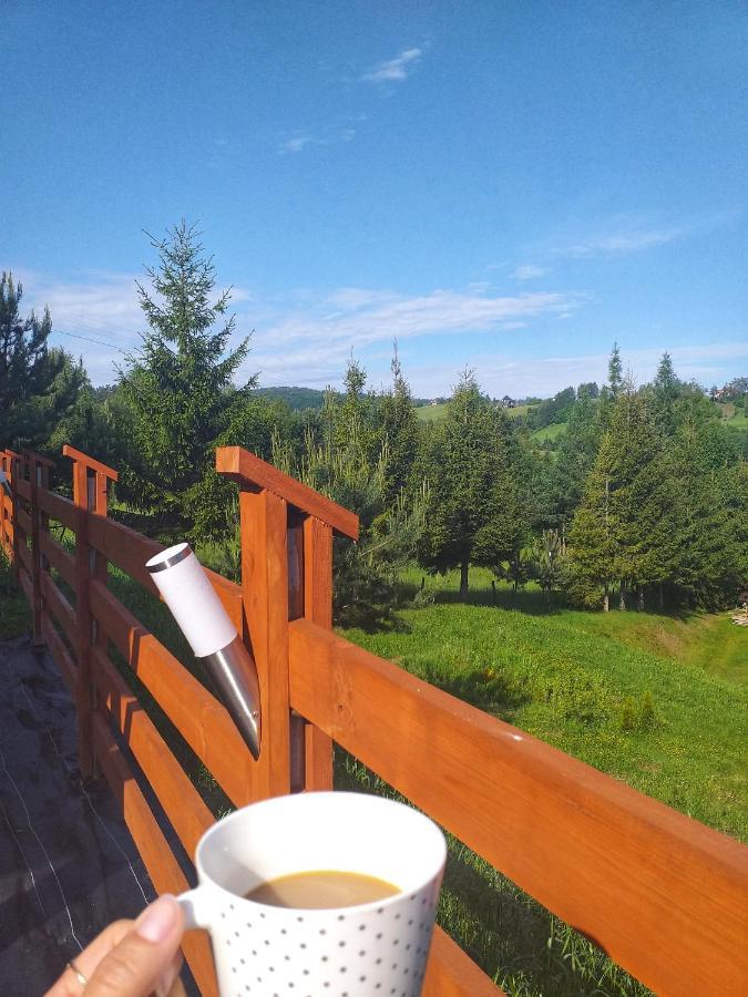 Holiday home Bieszczadzki Bohater 533-502-137