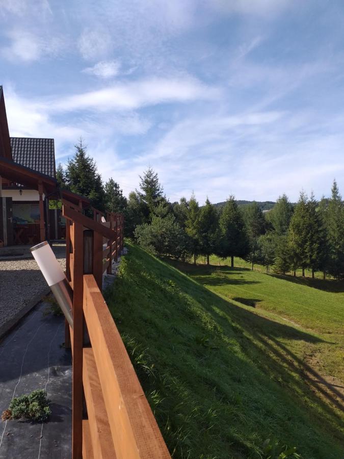 Bieszczadzki Bohater 533-502-137 Holiday home *